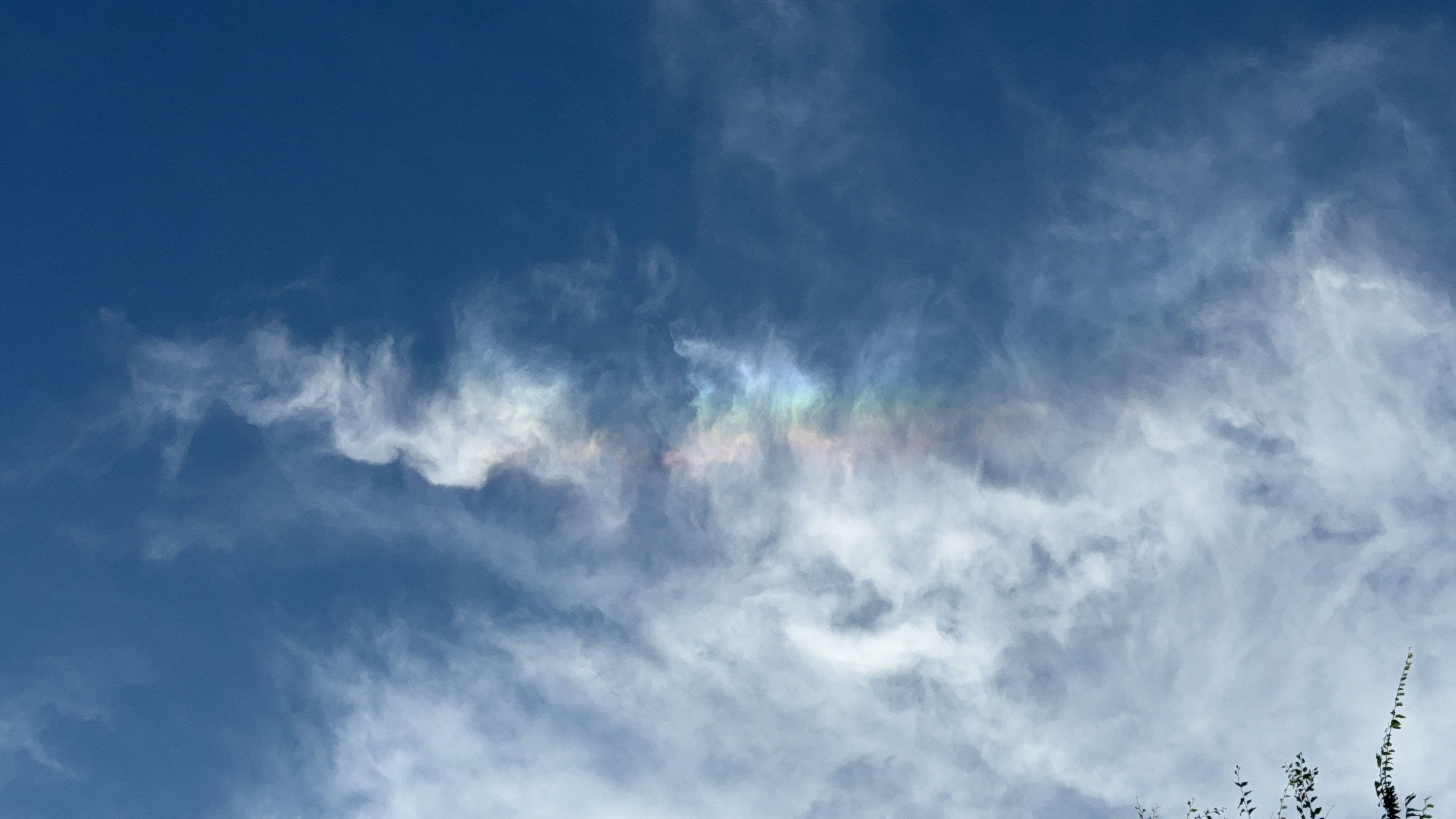 青空にたなびく雲