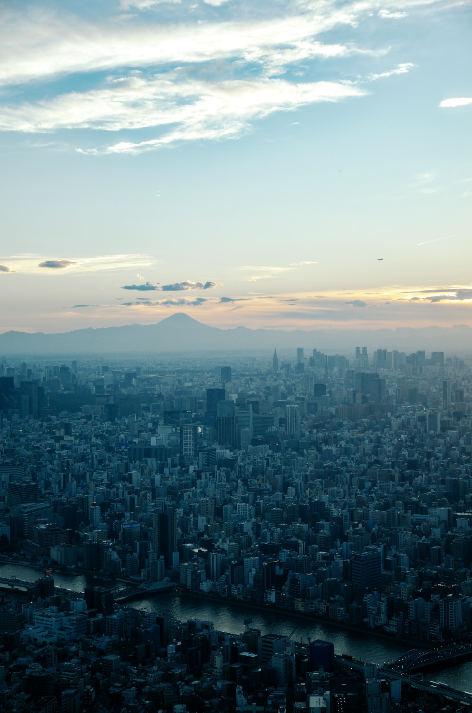 東京の街並みの向こうに見える富士山